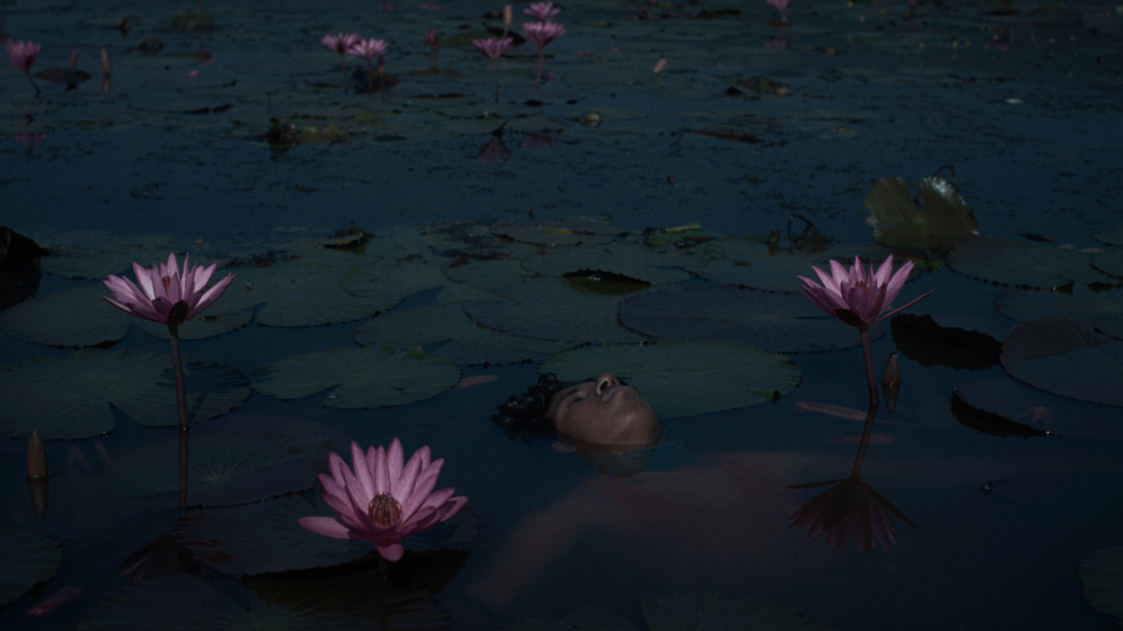 New Frequencies: Short Films of Youth and Whimsy