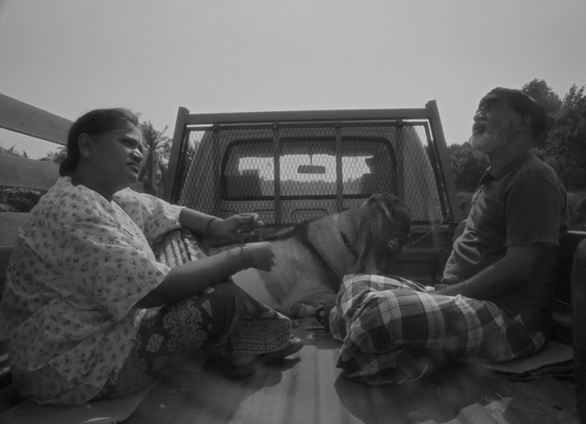 New Frequencies: Short Films of Youth and Whimsy