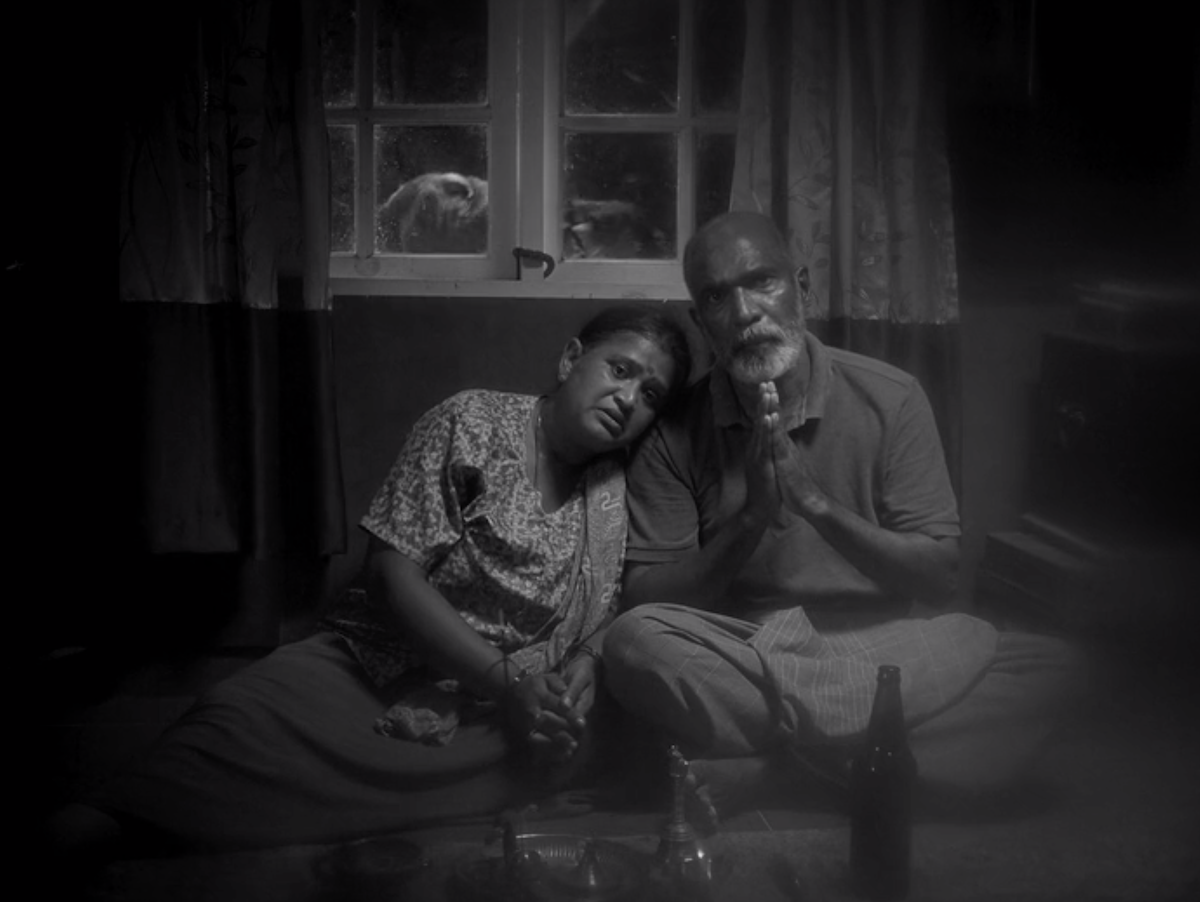 New Frequencies: Short Films of Youth and Whimsy